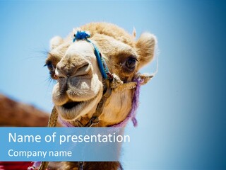 Egypt Travel Eastern PowerPoint Template