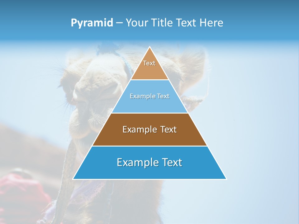 Egypt Travel Eastern PowerPoint Template