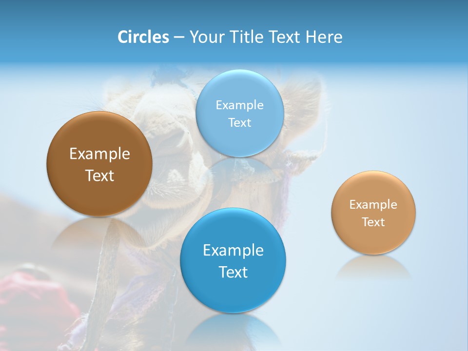 Egypt Travel Eastern PowerPoint Template