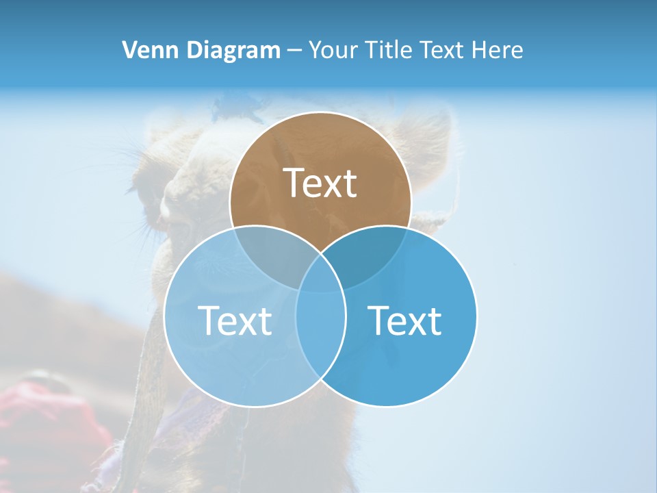 Egypt Travel Eastern PowerPoint Template