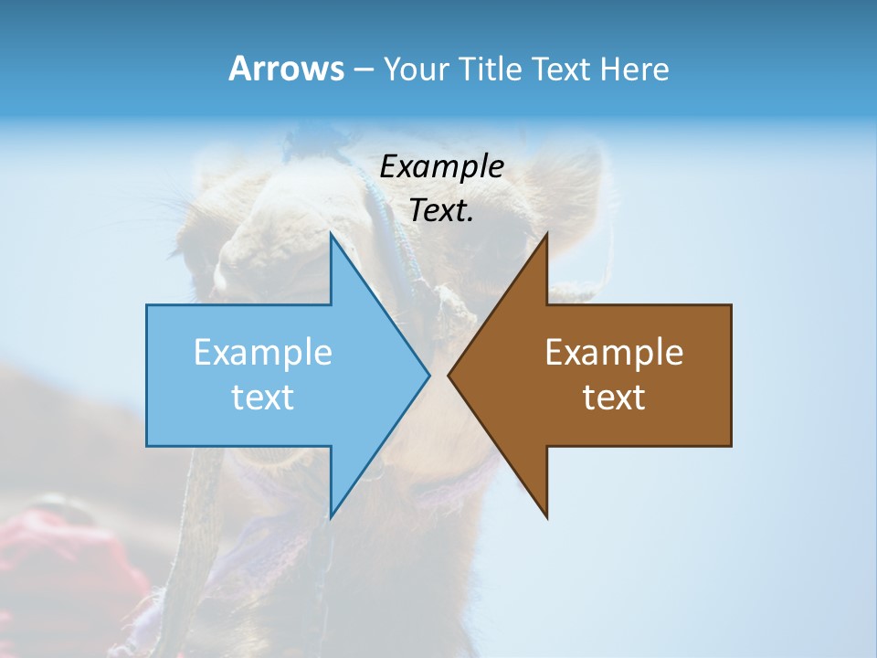 Egypt Travel Eastern PowerPoint Template