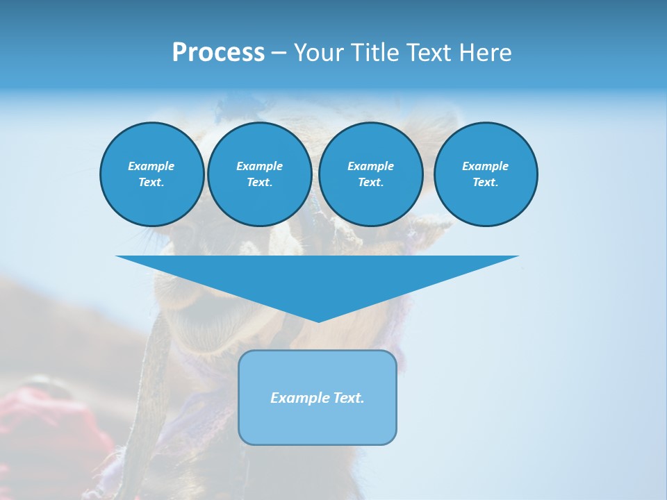 Egypt Travel Eastern PowerPoint Template