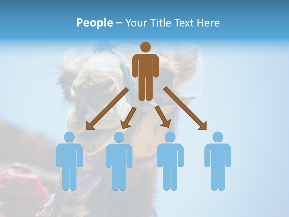 Egypt Travel Eastern PowerPoint Template