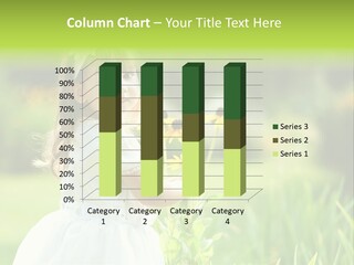 Spring Emotion Plant PowerPoint Template