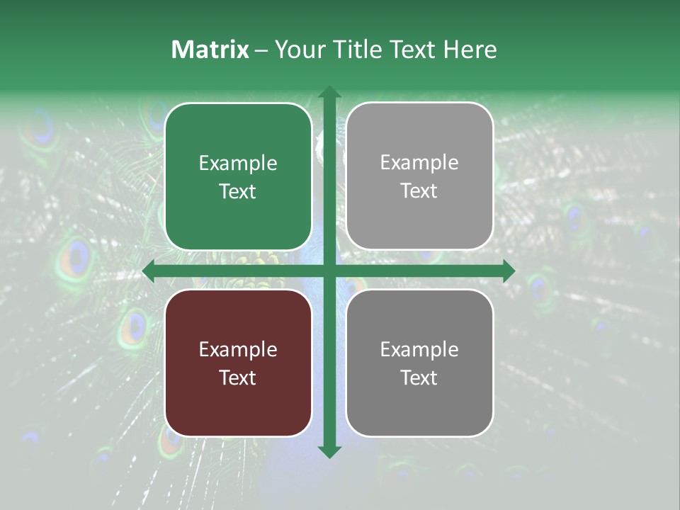 Descriptive Cockerel Male PowerPoint Template