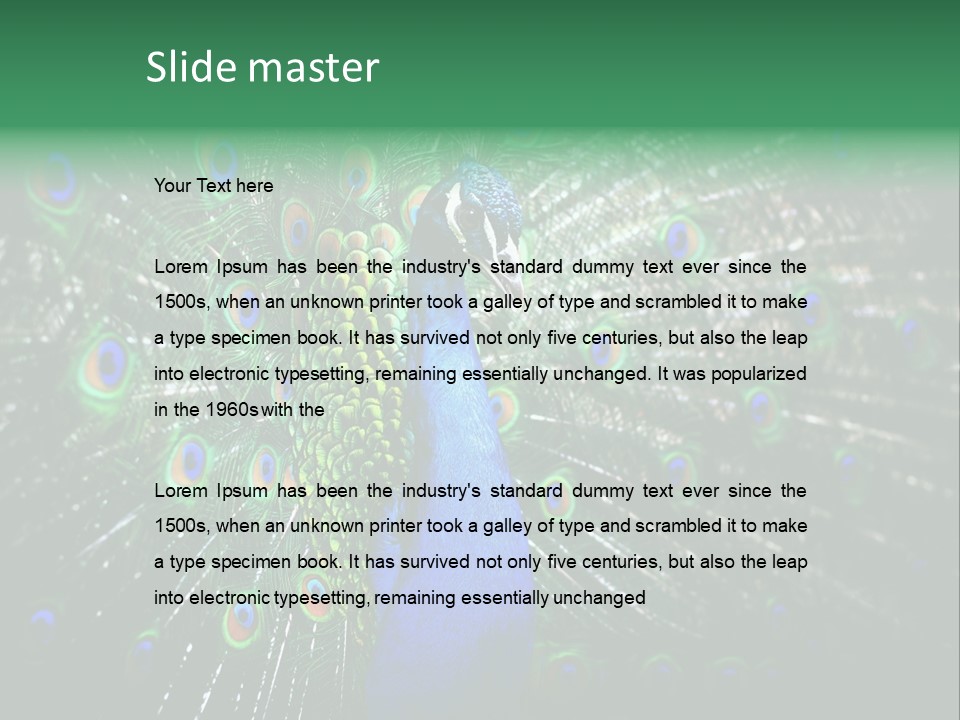 Descriptive Cockerel Male PowerPoint Template