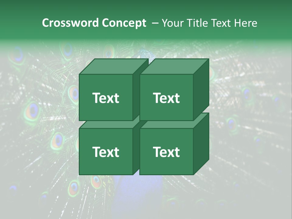 Descriptive Cockerel Male PowerPoint Template