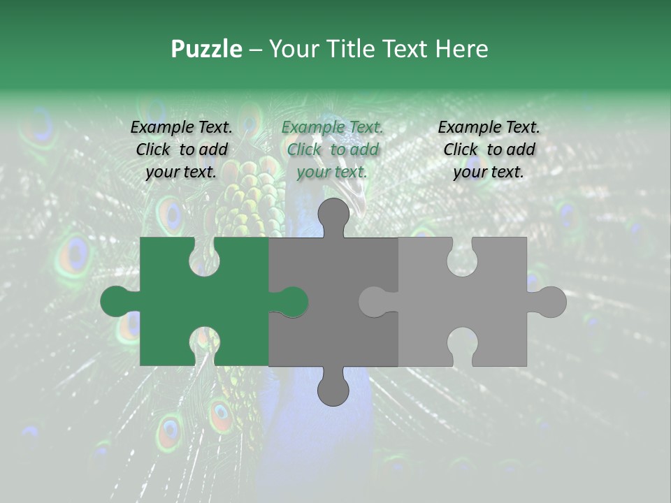 Descriptive Cockerel Male PowerPoint Template