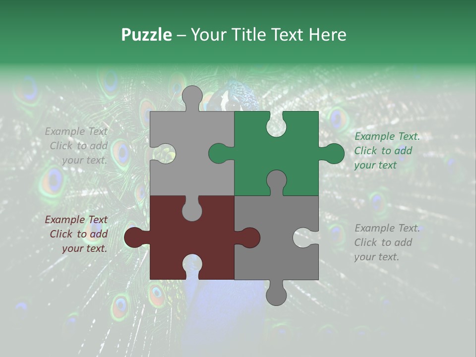 Descriptive Cockerel Male PowerPoint Template