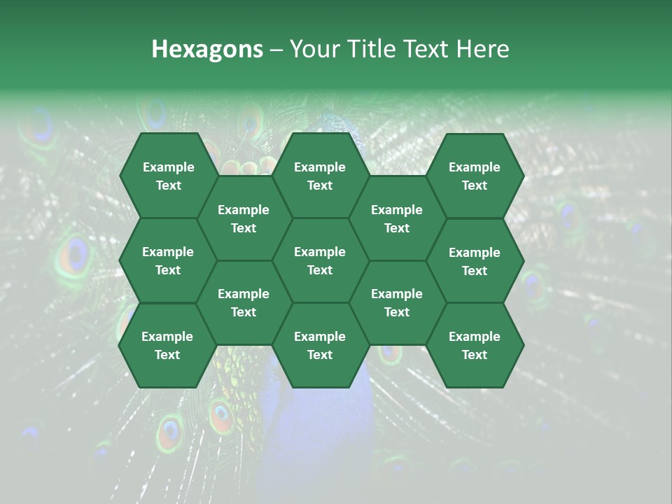 Descriptive Cockerel Male PowerPoint Template