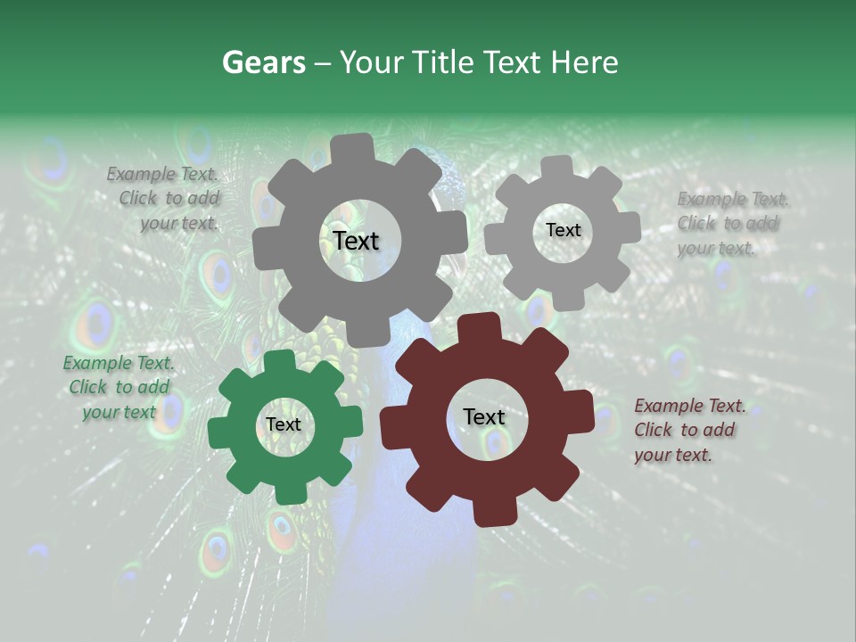 Descriptive Cockerel Male PowerPoint Template