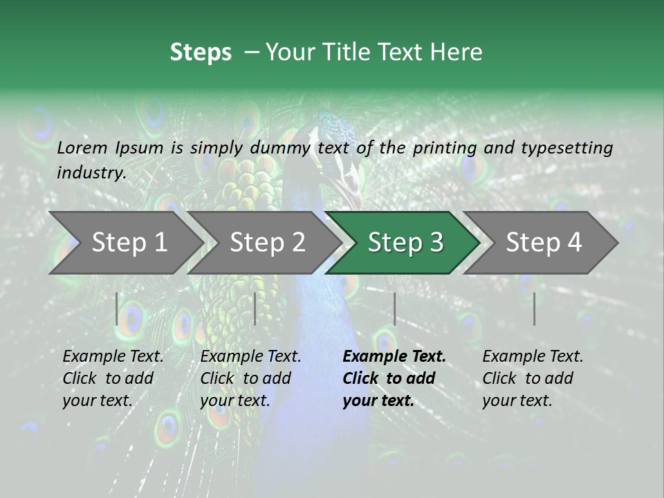 Descriptive Cockerel Male PowerPoint Template