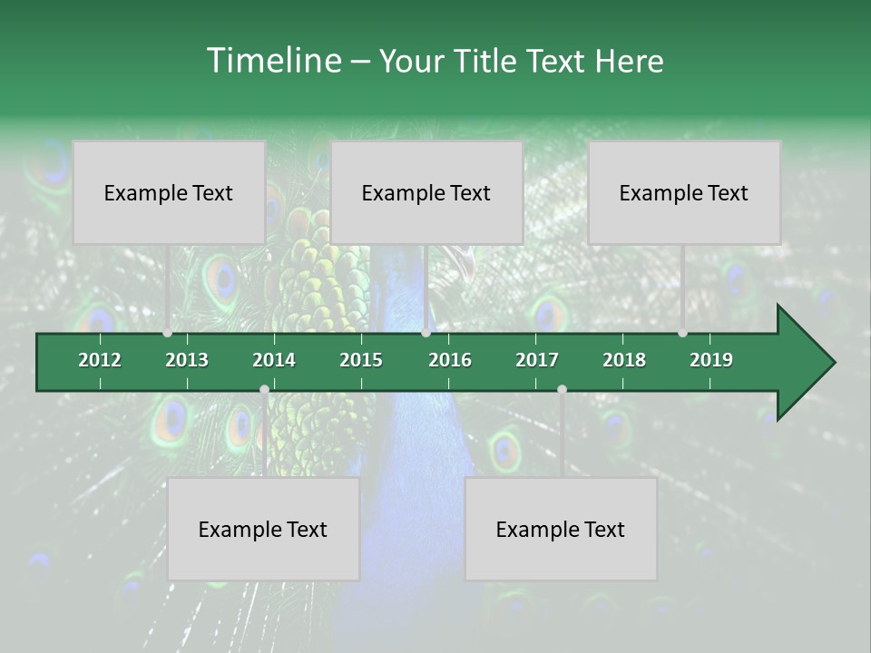 Descriptive Cockerel Male PowerPoint Template