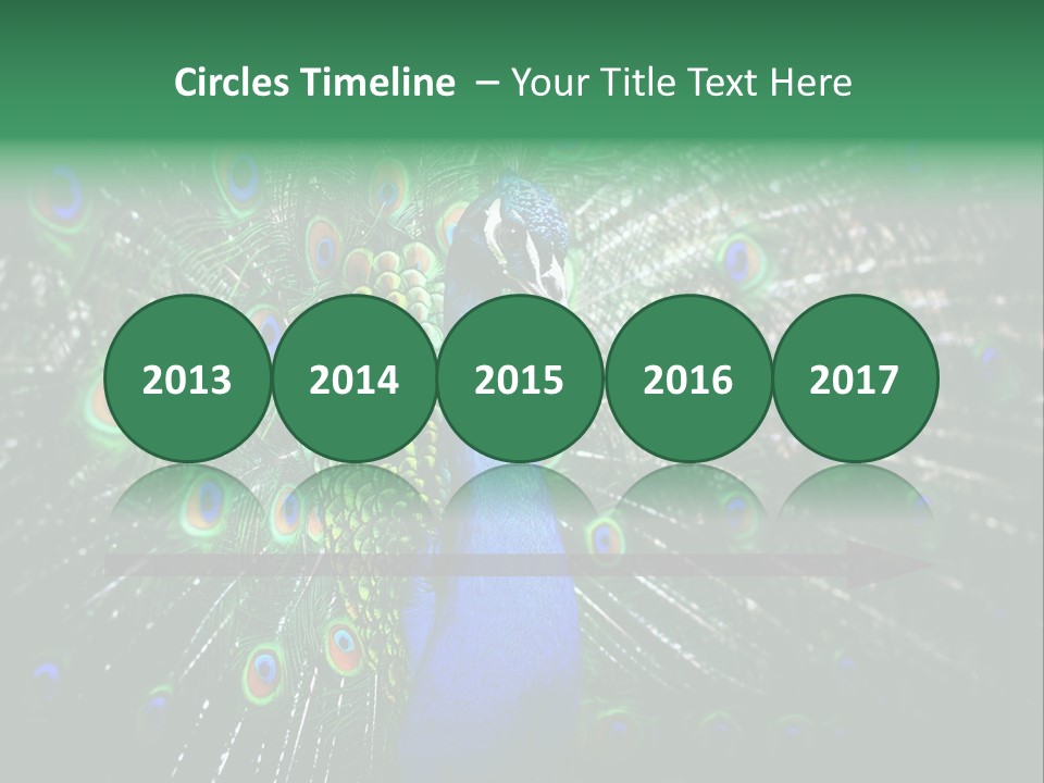 Descriptive Cockerel Male PowerPoint Template