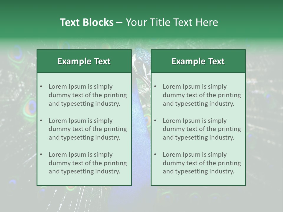 Descriptive Cockerel Male PowerPoint Template