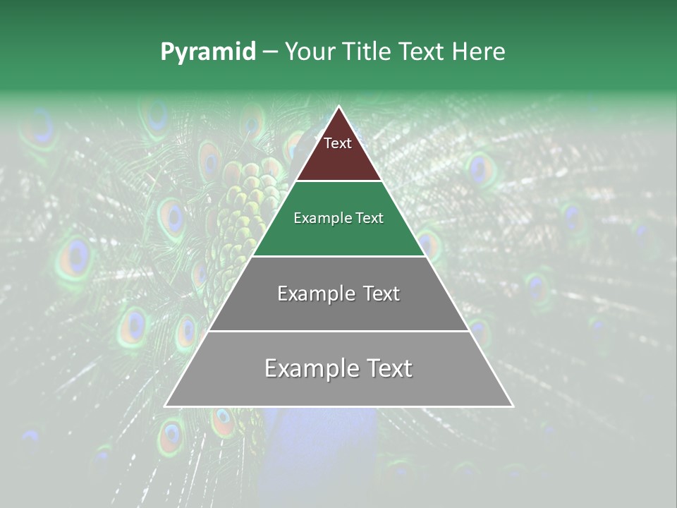 Descriptive Cockerel Male PowerPoint Template