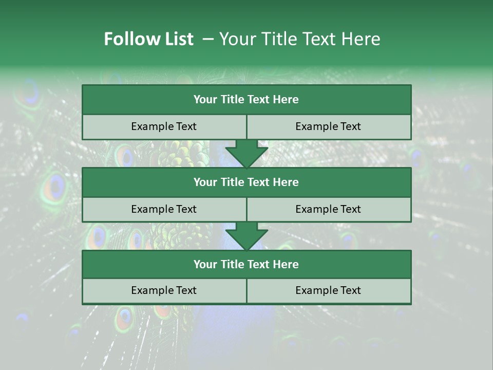 Descriptive Cockerel Male PowerPoint Template