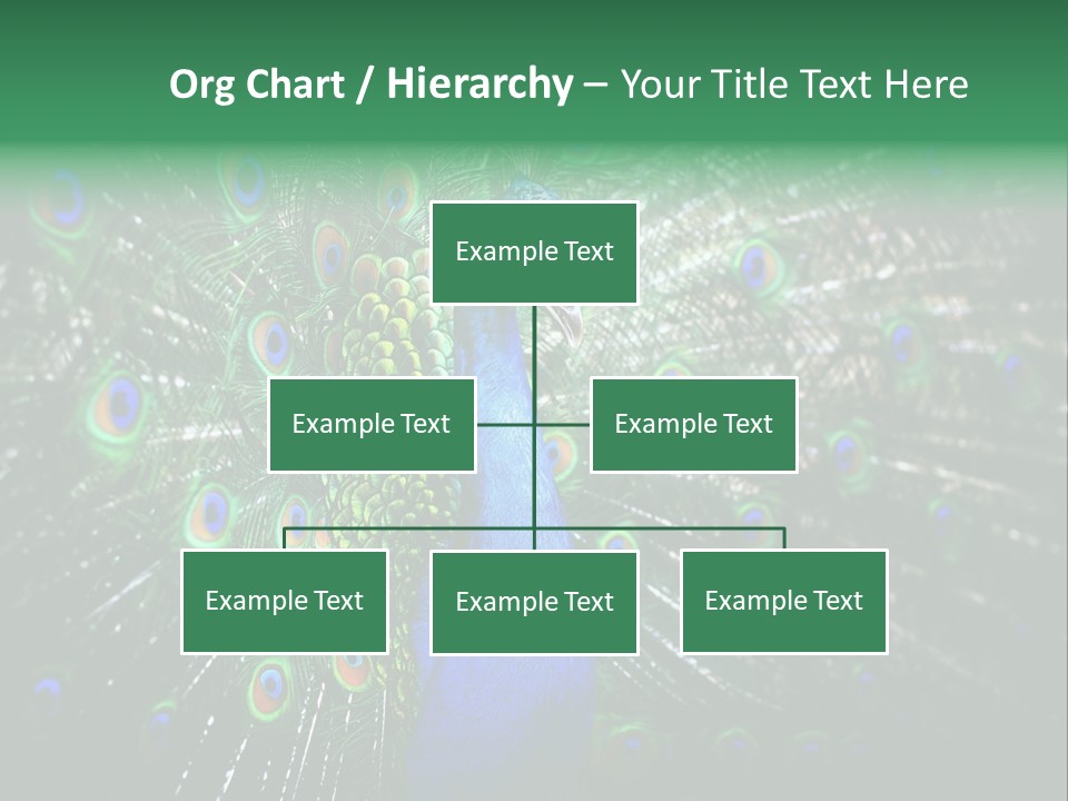 Descriptive Cockerel Male PowerPoint Template