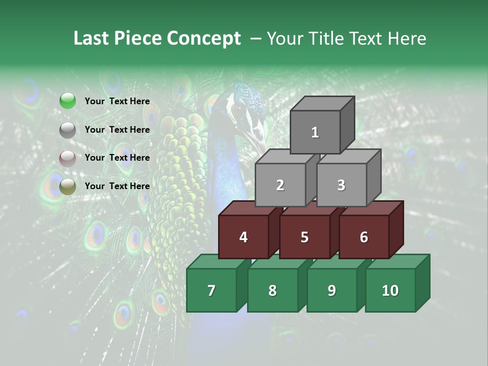 Descriptive Cockerel Male PowerPoint Template