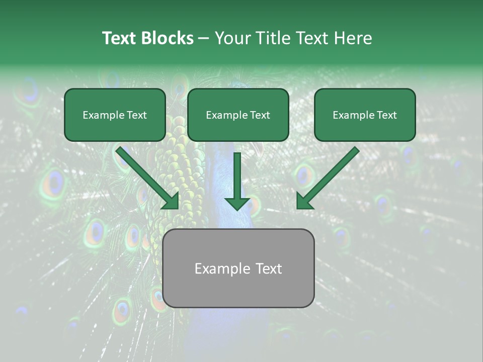 Descriptive Cockerel Male PowerPoint Template
