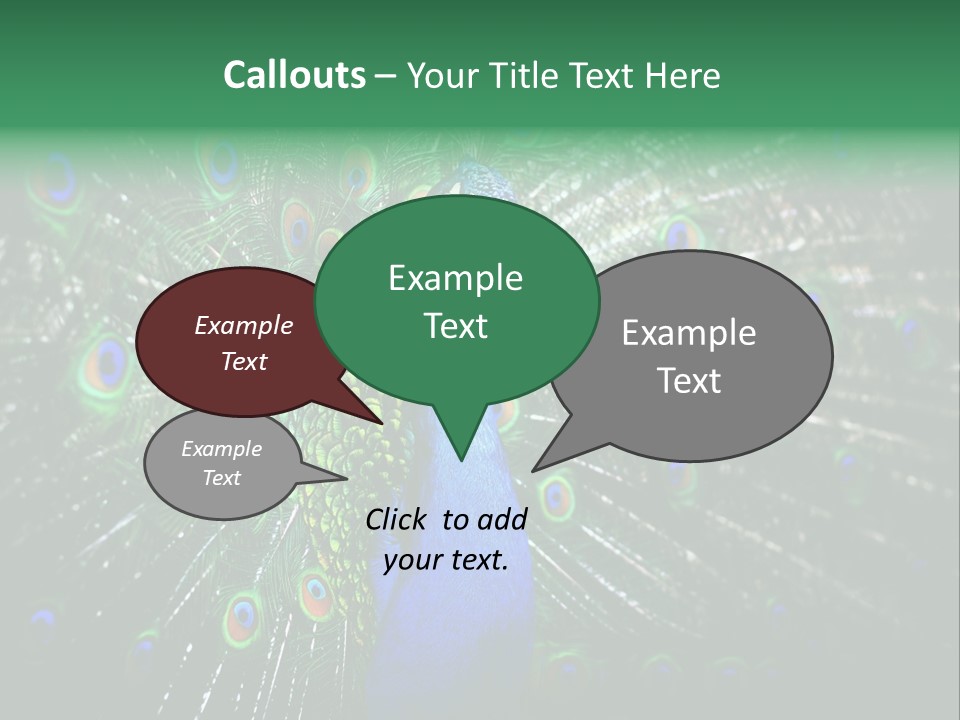 Descriptive Cockerel Male PowerPoint Template