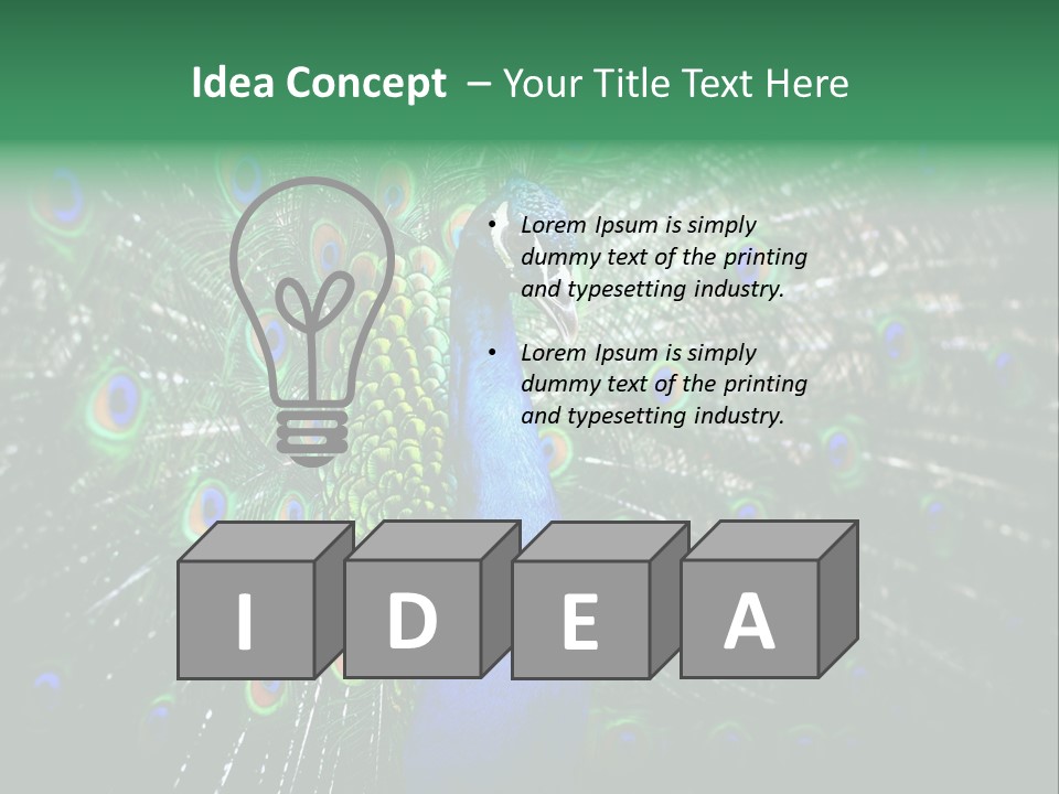 Descriptive Cockerel Male PowerPoint Template