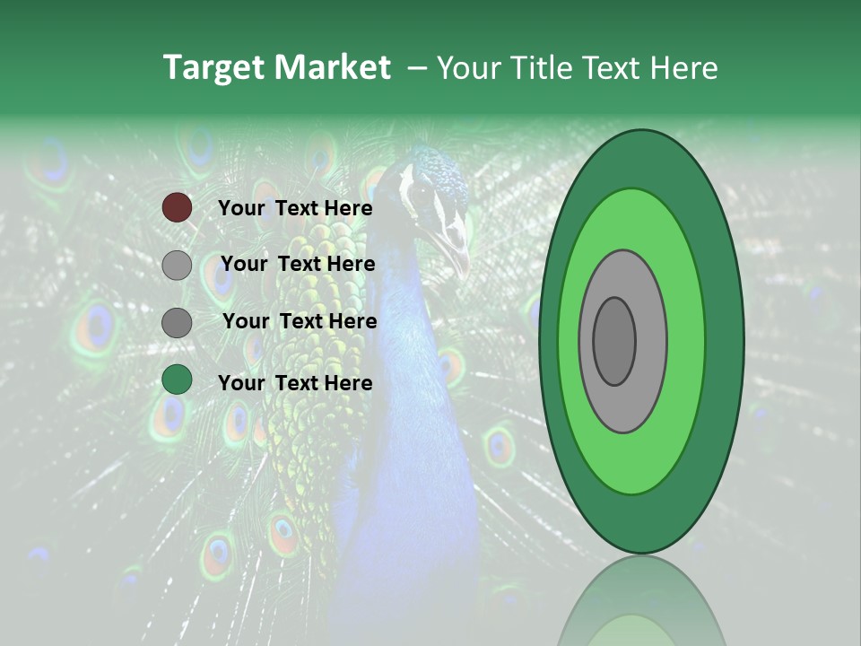 Descriptive Cockerel Male PowerPoint Template