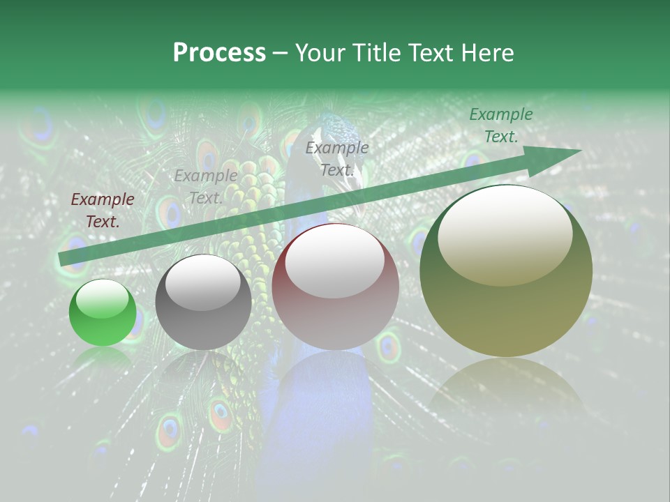 Descriptive Cockerel Male PowerPoint Template