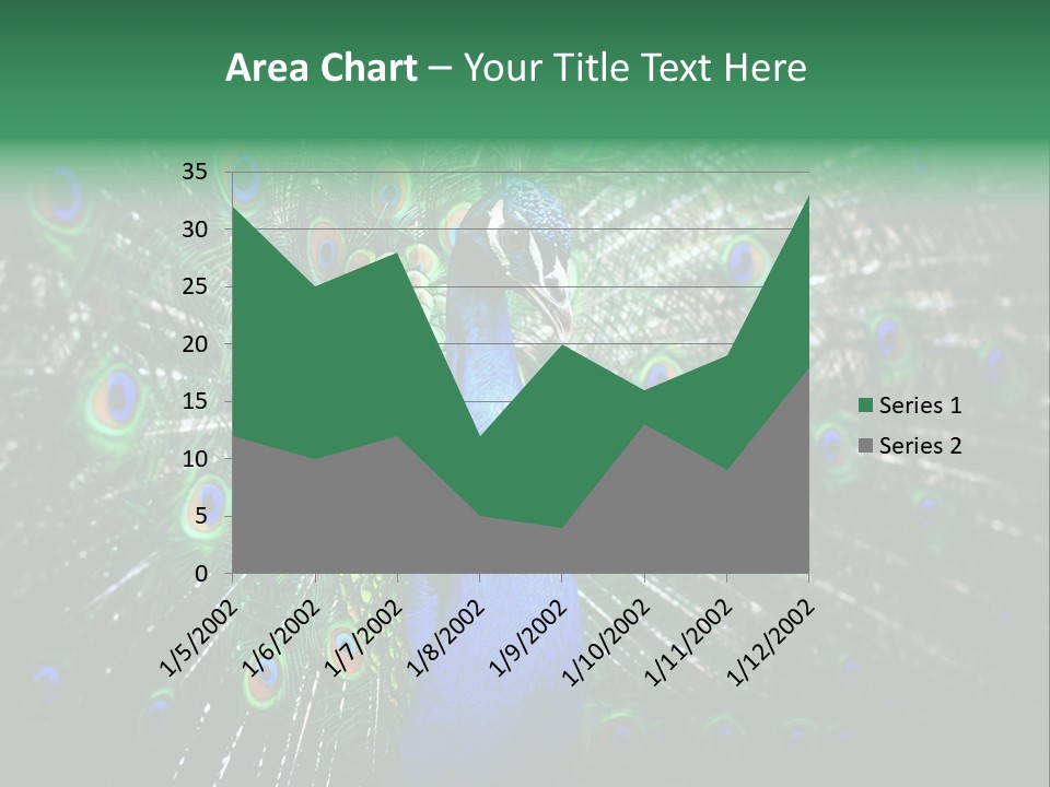 Descriptive Cockerel Male PowerPoint Template