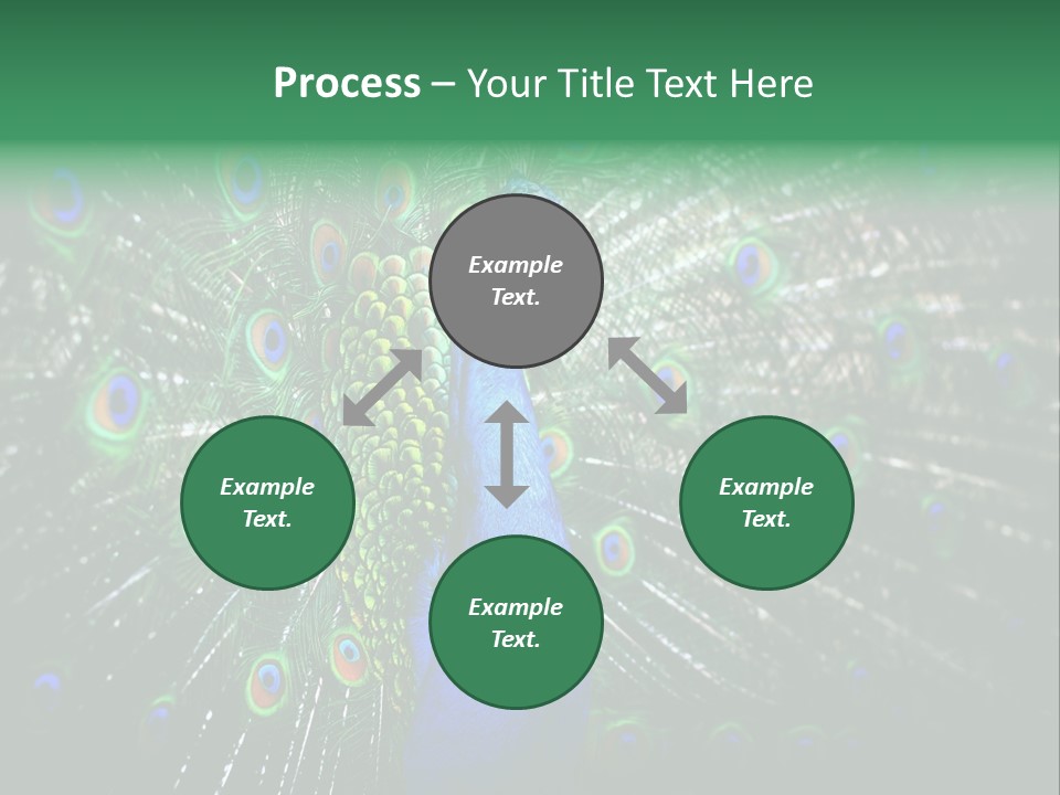 Descriptive Cockerel Male PowerPoint Template