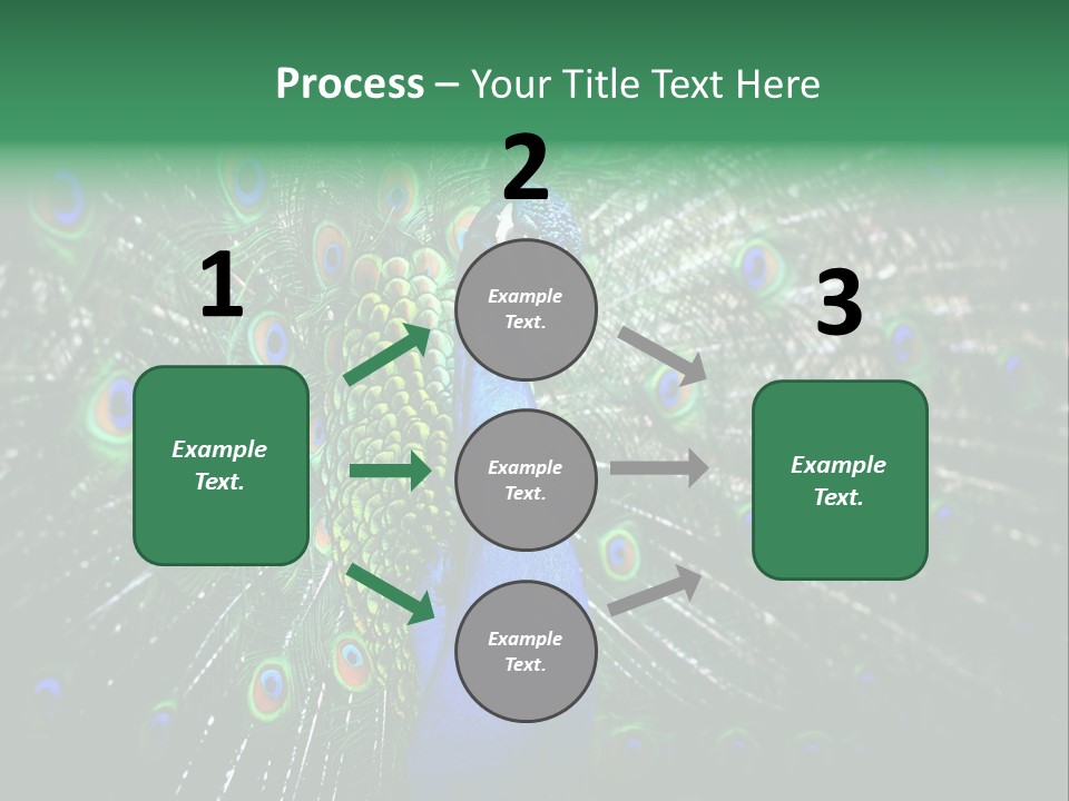 Descriptive Cockerel Male PowerPoint Template