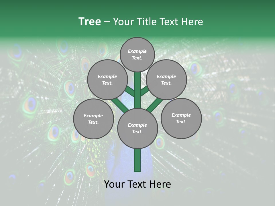 Descriptive Cockerel Male PowerPoint Template