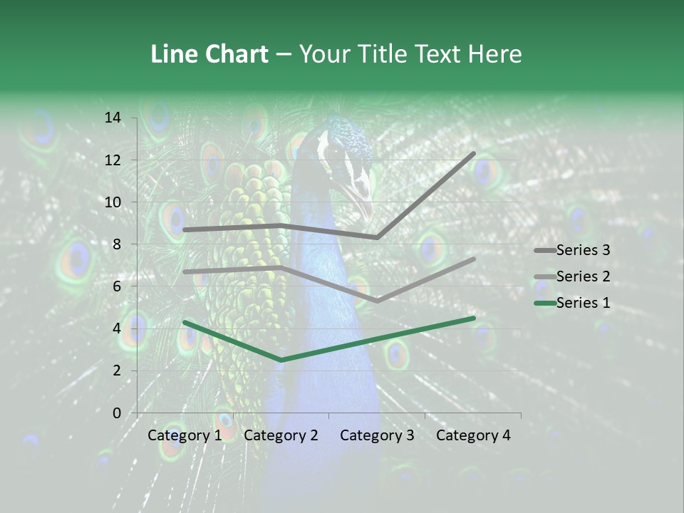Descriptive Cockerel Male PowerPoint Template