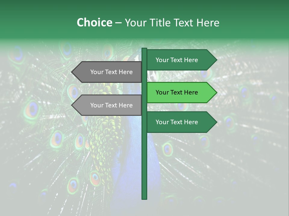 Descriptive Cockerel Male PowerPoint Template