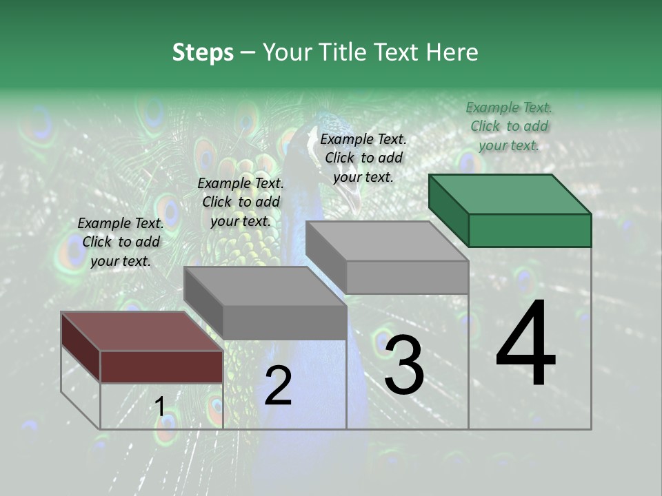 Descriptive Cockerel Male PowerPoint Template