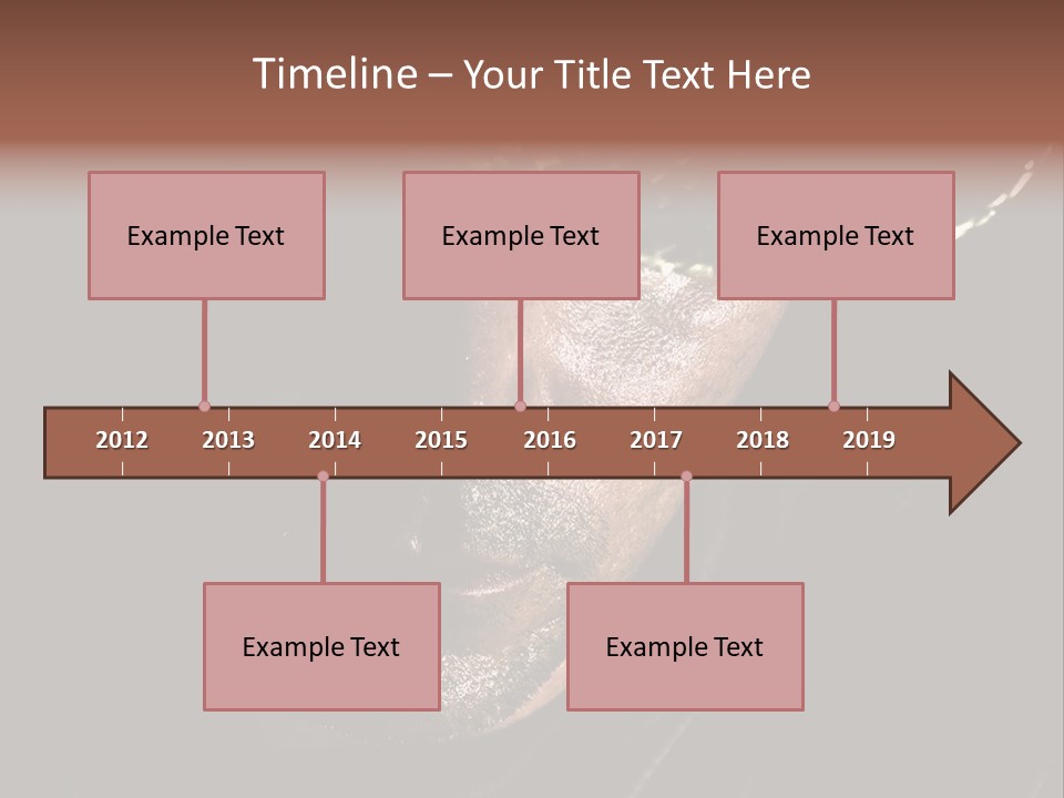 Work Wild West PowerPoint Template