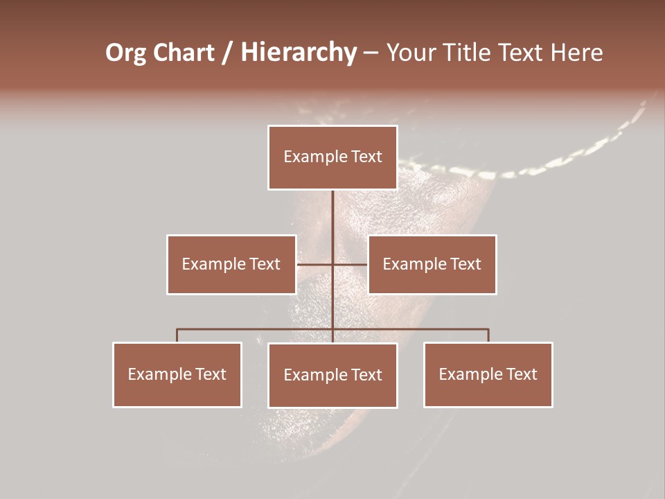 Work Wild West PowerPoint Template