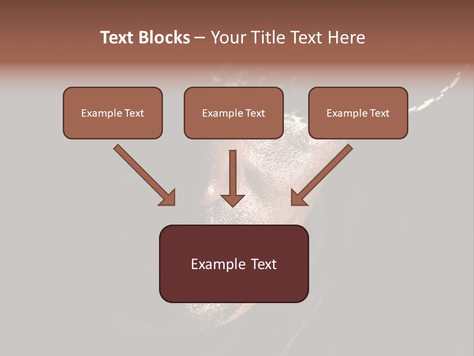 Work Wild West PowerPoint Template