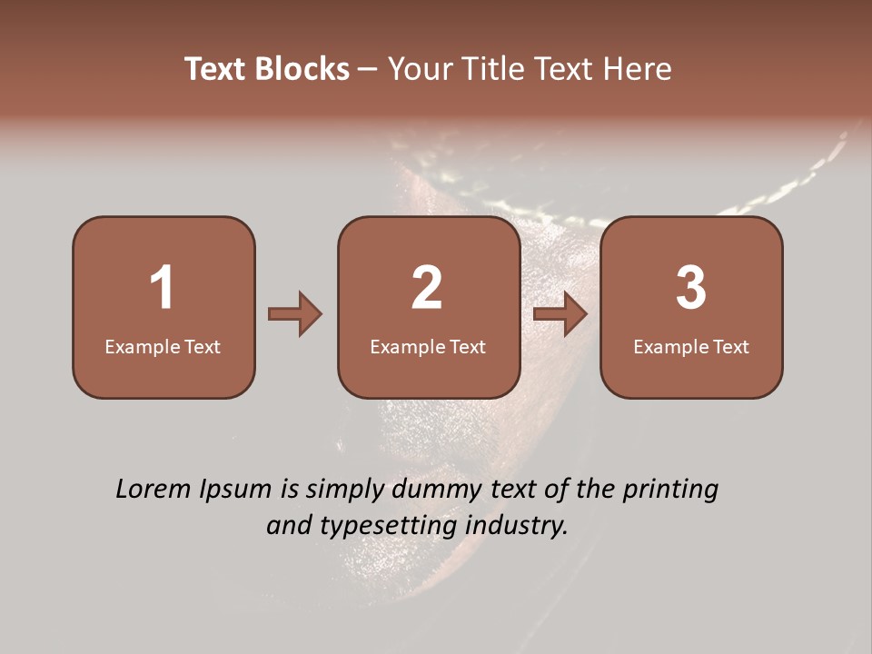 Work Wild West PowerPoint Template