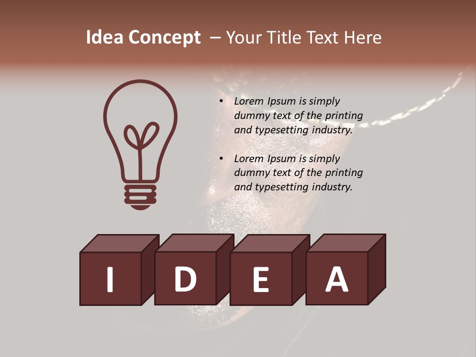 Work Wild West PowerPoint Template