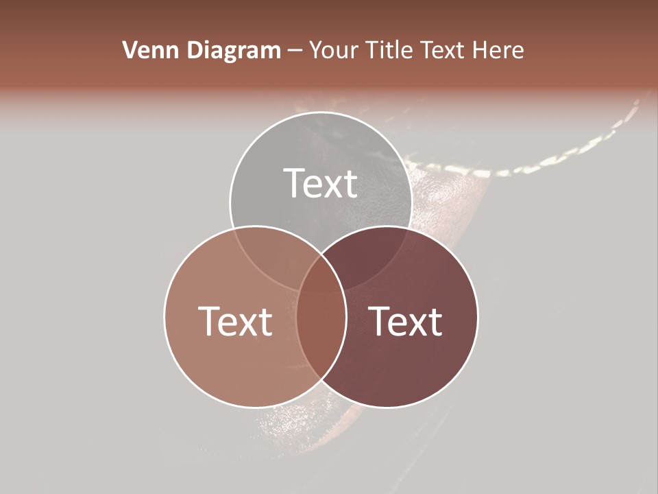 Work Wild West PowerPoint Template