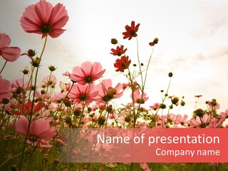 Environment Many Colorful PowerPoint Template