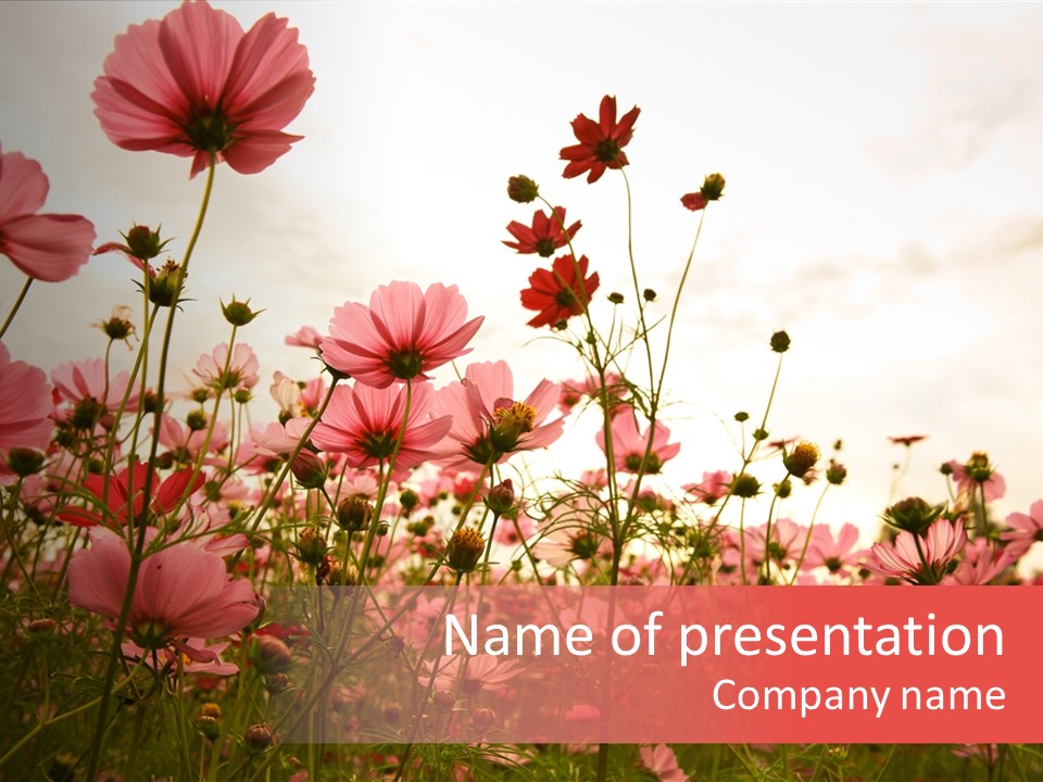 Environment Many Colorful PowerPoint Template