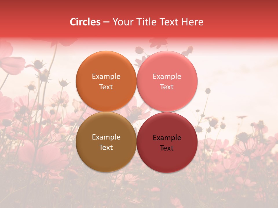 Environment Many Colorful PowerPoint Template