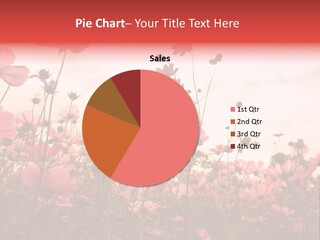 Environment Many Colorful PowerPoint Template