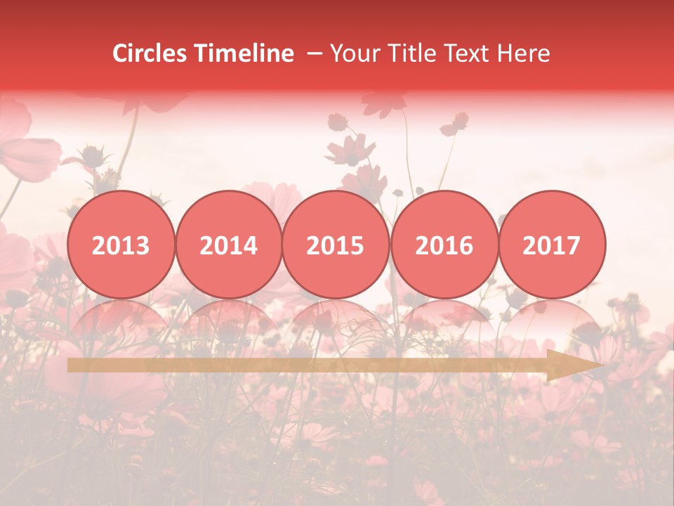 Environment Many Colorful PowerPoint Template