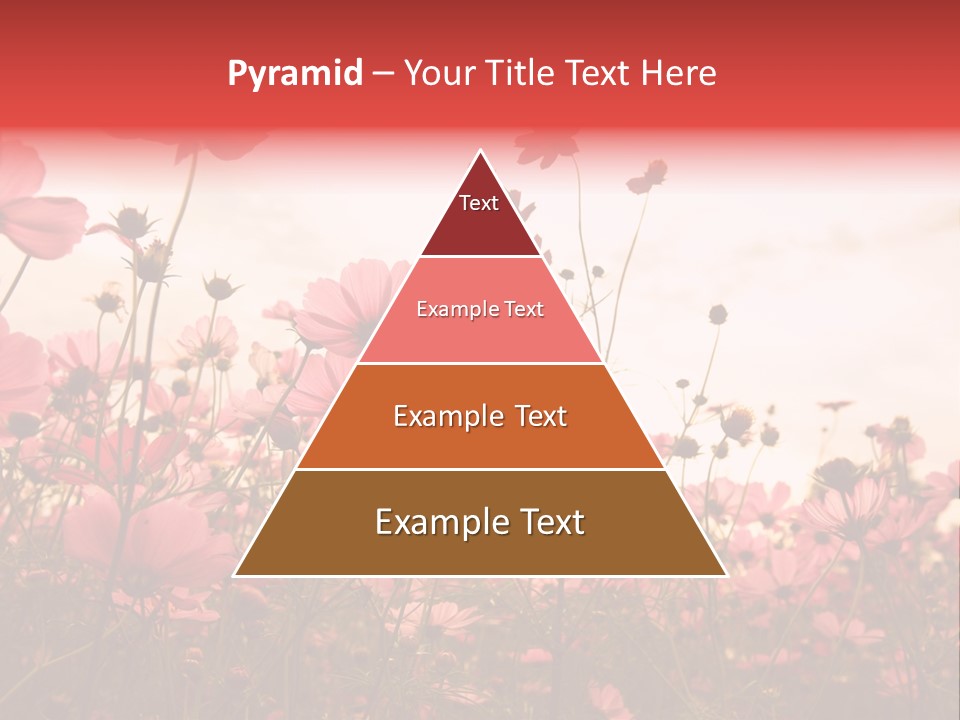Environment Many Colorful PowerPoint Template