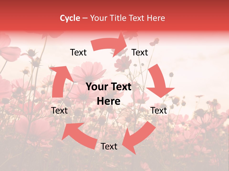 Environment Many Colorful PowerPoint Template