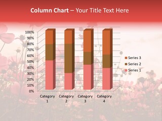 Environment Many Colorful PowerPoint Template