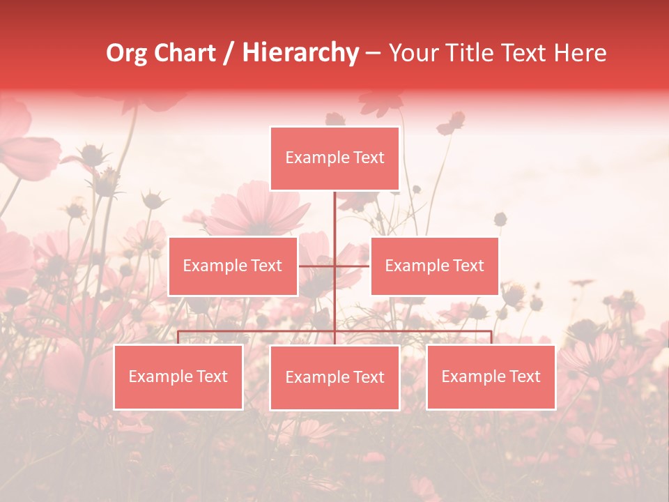 Environment Many Colorful PowerPoint Template